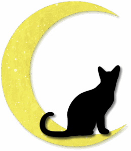 Cat-Moon