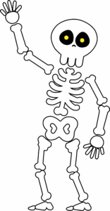 skalet