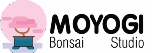 MOYOGI